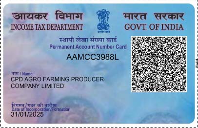 pan card 31012025 copy