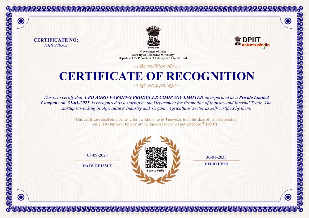 startup registration copy
